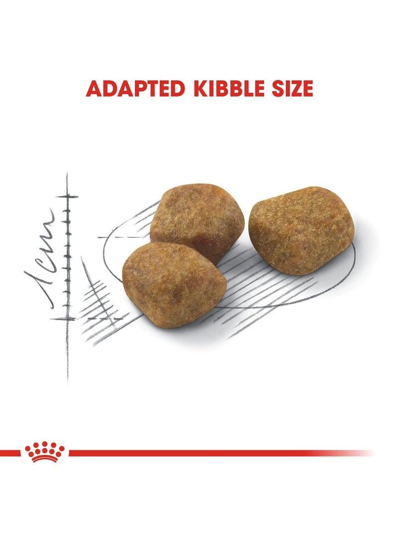 Royal Canin Feline Health Nutrition Indoor 7+ Years 3.5 KG - Image 2