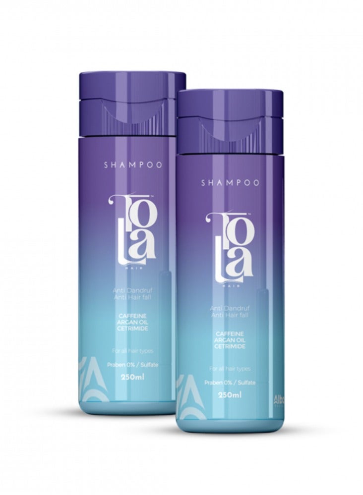 تولا شامبو تولا للكبار 250 مل 1+1