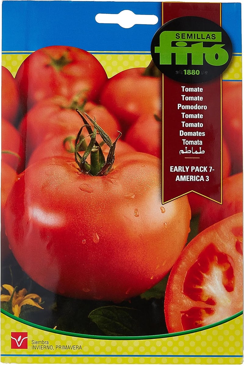Fito Tomato Early Pack America Seeds for Planting, Premium Vegetable Seeds for Indoor & Outdoor Gardening, Fast Growing Tomato Plant, High Yield Juicy Tomatoes for Cooking Salads & Home Garden - Image 1