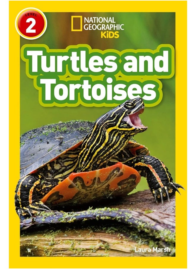 null - Turtles and Tortoises: Level 2 - Image 1