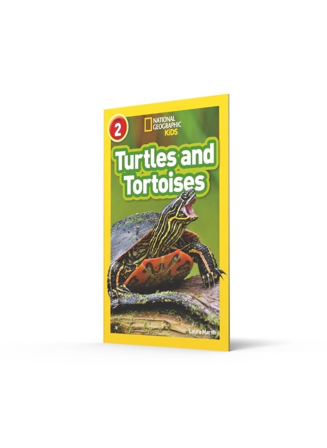 null - Turtles and Tortoises: Level 2 - Image 1