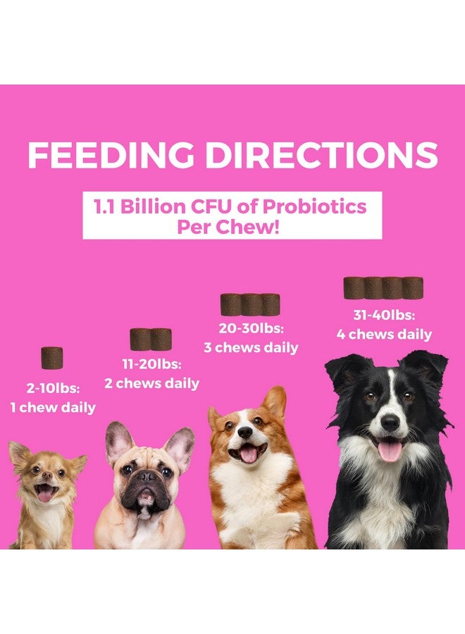 nootie Nootie Progility Mini Pre & Probiotic Supplement, Digestive Aid Supplement for Dogs, 60 Soft Chews per Container - Image 3