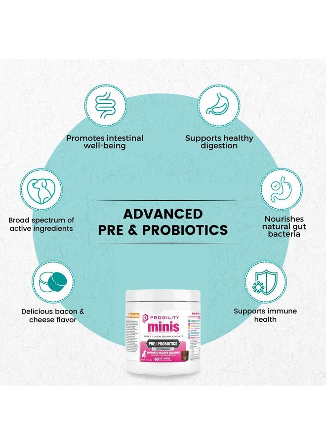 nootie Nootie Progility Mini Pre & Probiotic Supplement, Digestive Aid Supplement for Dogs, 60 Soft Chews per Container - Image 2