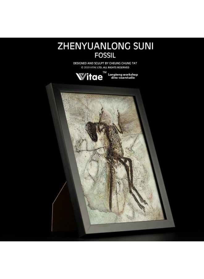 Vitae Is Its Jurassic Dinosaur Tyrannosaurus Rex Bone Fossil Board Set Table Photo Frame Home Decorations-Color:Archaeopteryx  - Image 4