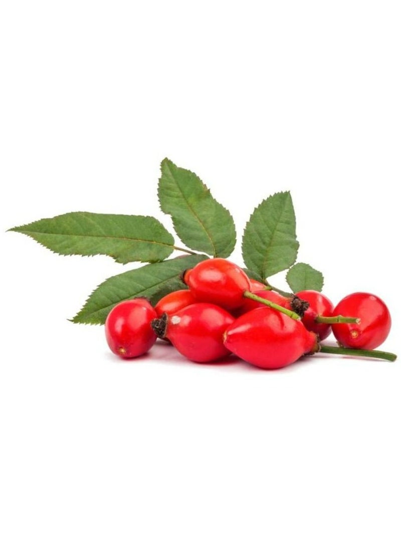 Kuwait Shop Rose Seed Oil 30 ml - Image 2