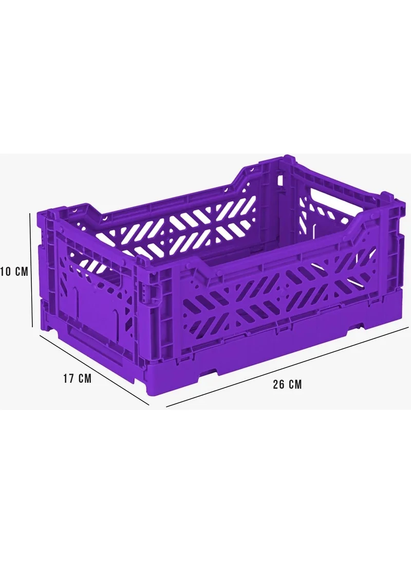 Ayyıldız Aykasa 261710 Minibox Violet Foldable Case