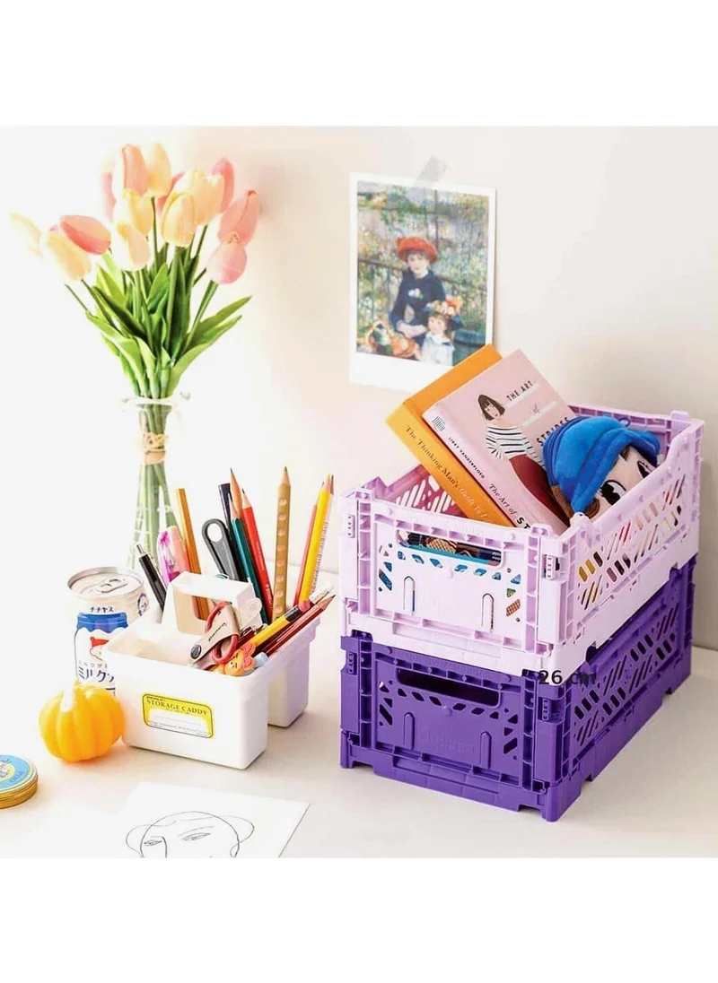 Ayyıldız Aykasa 261710 Minibox Violet Foldable Case