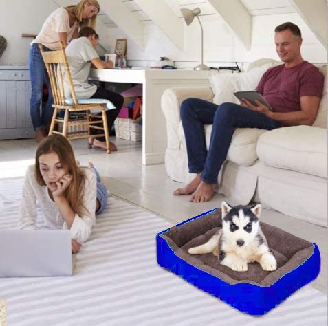 KOZI PET Dog Beds for Dog & Cats, Rectangle Pet Bed Thickened Enough with Soft Coral Fleece and,Durable Dog Sofa Pet Bed - Image 3