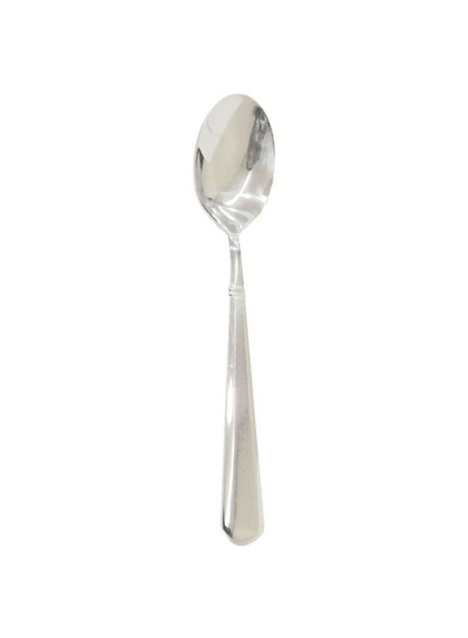 Winsor Stainless Steel Dessert Spoon Silver 2.6x19.5x4.1cm