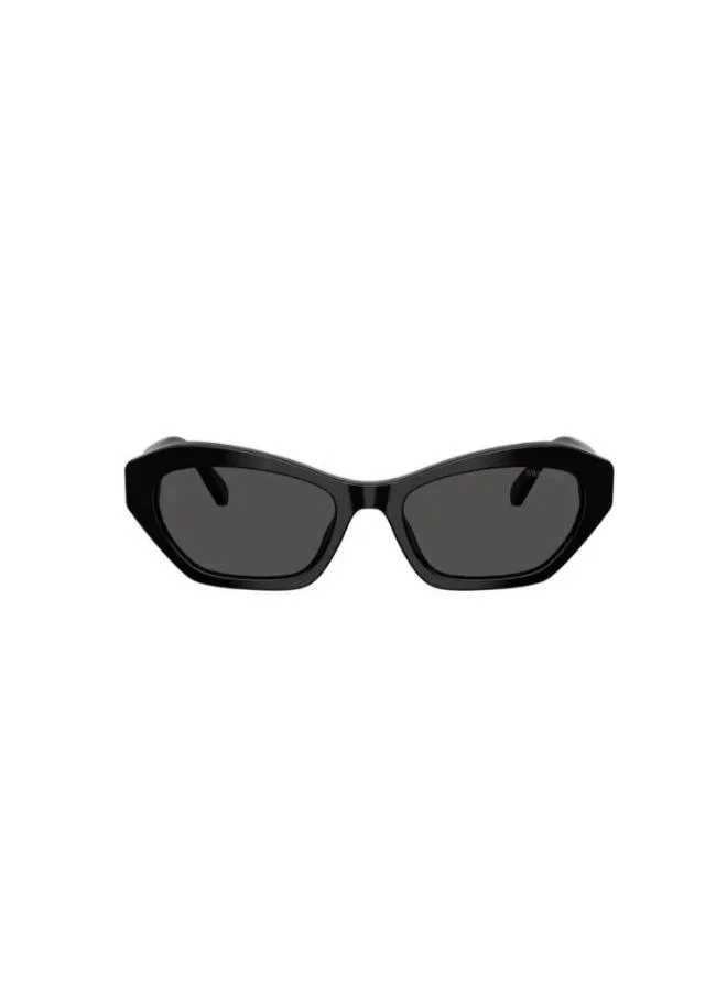 Cat Eye Sunglasses