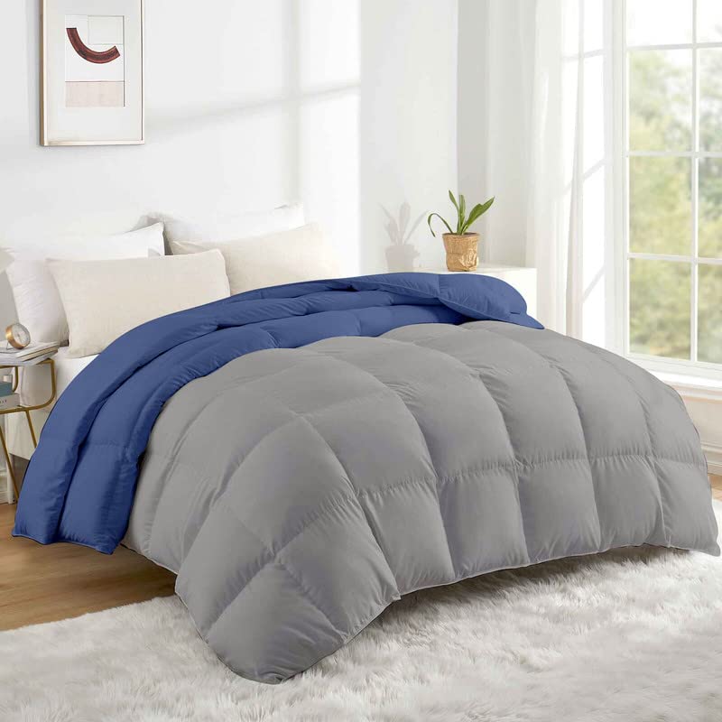 Razzai 500 GSM Winter Comforter Premium Collection Quilted Revesible Comforter (90" x 90" Inches/228cm x 228cm) - Queen Size | Silver/Medium Blue - Image 2