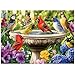 Jeacirio 500 Piece Puzzles for Adults Birds Jigsaw Puzzle 500 Piece for Adults Seniors Recycled Cardboard Large Piece Puzzle 500 Family Games Great Gift for Mom Dad Family Friends 205 x 15 in - Image 3