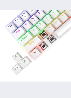 T-DAGGER T-DAGGER 60% Wired Mechanical Gaming Keyboard, RGB Backlit Ultra-Compact Mini Keyboard, Waterproof Mini Compact 61 Keys Keyboard for PC/Mac Gamer, Typist, Travel, Easy to Carry on Business Trip(White)  - Image 4