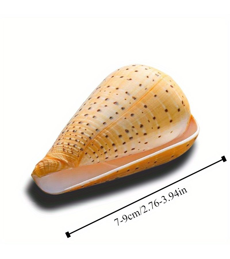 صدفة حلزونية صفراء من الذرة، زينة منزلية لحوض السمك، ديكور المناظر الطبيعية، طراز شرق البحر الأبيض المتوسط، دعامات تصوير، ديكور بحري فريد من نوعه، قطعة واحدة. - Image 3