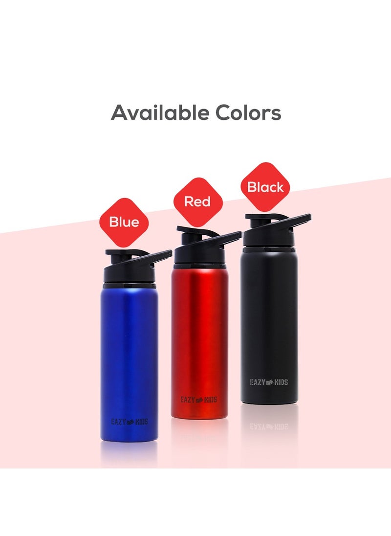 Stainless Steel Sports Water Bottle - Red, 700Ml - pzsku/Z2EBD2B589F0B7709F2FCZ/45/_/1718275609/583ff22a-16fe-4674-b351-fff1eb11675c