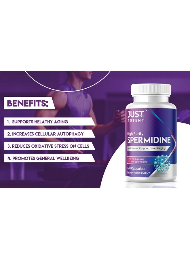 Just Potent High Purity (99%) Spermidine Supplement | 120 Capsules, 4 Months of Supply, 10mg per Capsule | Cell Renewal Support and Anti-Aging - Image 2