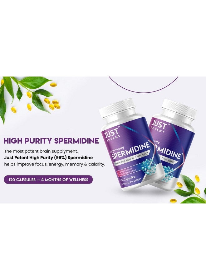 Just Potent High Purity (99%) Spermidine Supplement | 120 Capsules, 4 Months of Supply, 10mg per Capsule | Cell Renewal Support and Anti-Aging - Image 3