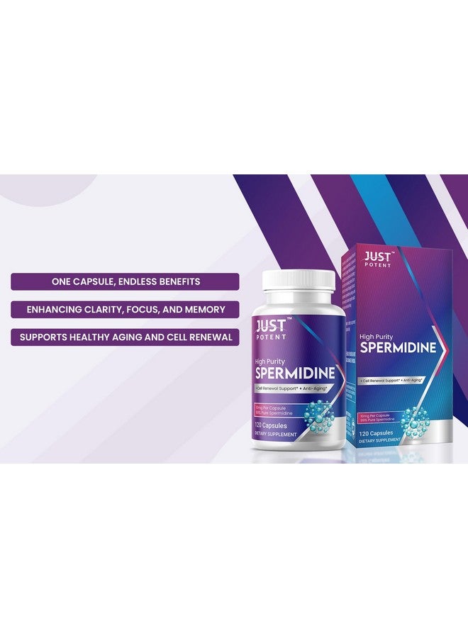Just Potent High Purity (99%) Spermidine Supplement | 120 Capsules, 4 Months of Supply, 10mg per Capsule | Cell Renewal Support and Anti-Aging - Image 5