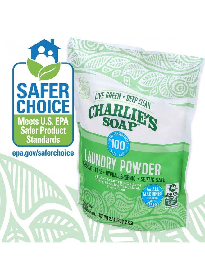 Charlie's Soap Charlie's Soap HE 100 Load Laundry Powder and Booster  - Image 4