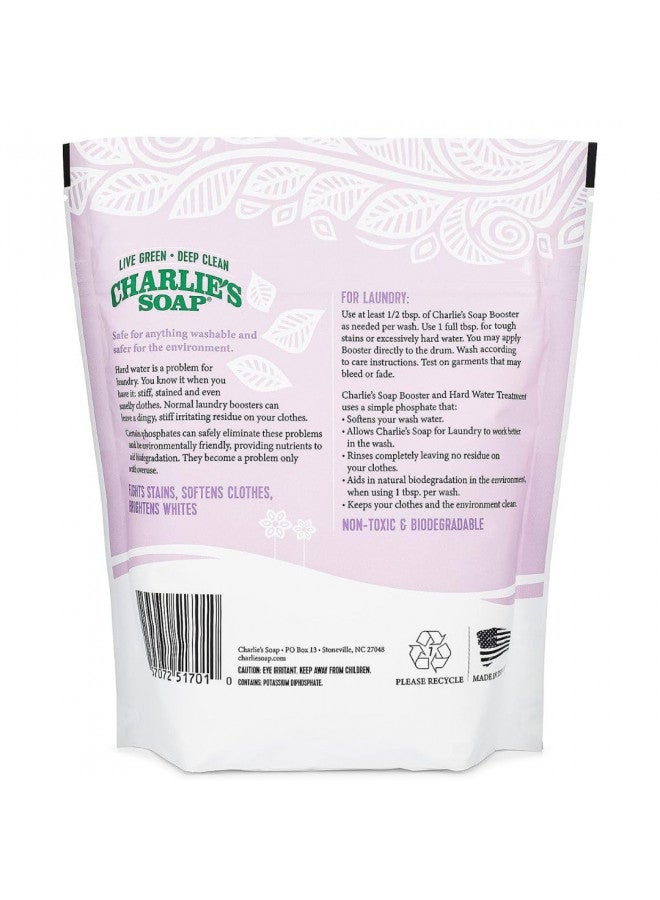 Charlie's Soap Charlie's Soap HE 100 Load Laundry Powder and Booster  - Image 3