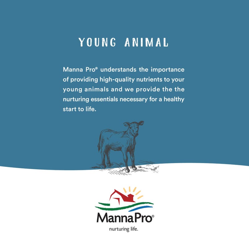 Manna Pro Pro-Force 50 Spot-On Fly Control for Horses, 6 Count - Image 5
