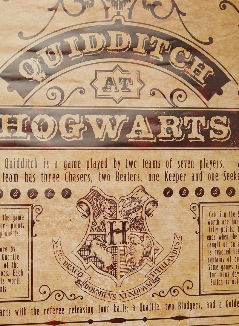 Harry Potter Harry Potter Quidditch At Hogwarts Maxi Posters