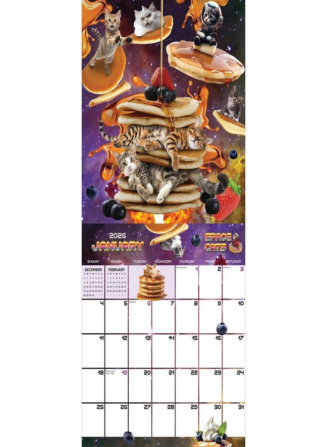 TF Publishing 2026 Space Cats Wall Calendar - Large Grids for Appointments and Scheduling - Vertical Monthly Wall Calendar 2026 with Premium Gloss Paper for Home and Office Organization - 12in x 12in - Image 2