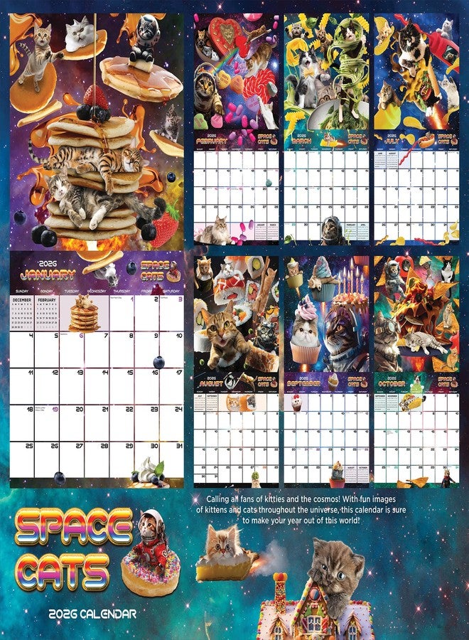 TF Publishing 2026 Space Cats Wall Calendar - Large Grids for Appointments and Scheduling - Vertical Monthly Wall Calendar 2026 with Premium Gloss Paper for Home and Office Organization - 12in x 12in - Image 3