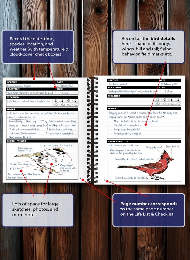 OptiLiving Publishing Birding Journal with Life List & Checklist A5 - Image 3
