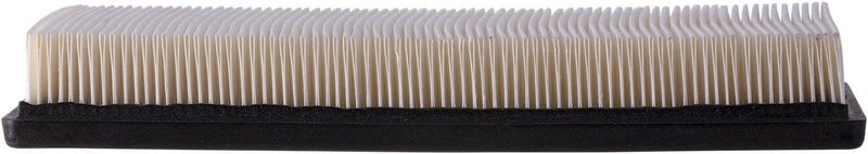 Ecogard XA4343 Premium Engine Air Filter - Image 1