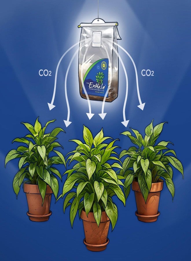 Exhale Homegrown CO2 365 - Self-Activated Bag for Grow Rooms & Tents - Great for Indoor Grow Rooms - CO2 for Grow Tents - 4 lbs - Image 4