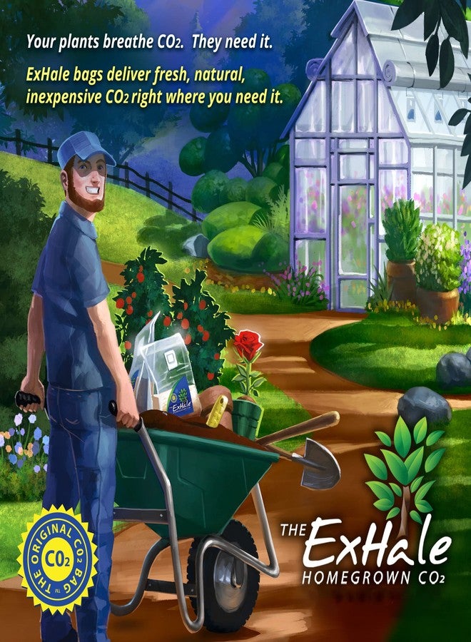 Exhale Homegrown CO2 365 - Self-Activated Bag for Grow Rooms & Tents - Great for Indoor Grow Rooms - CO2 for Grow Tents - 4 lbs - Image 3