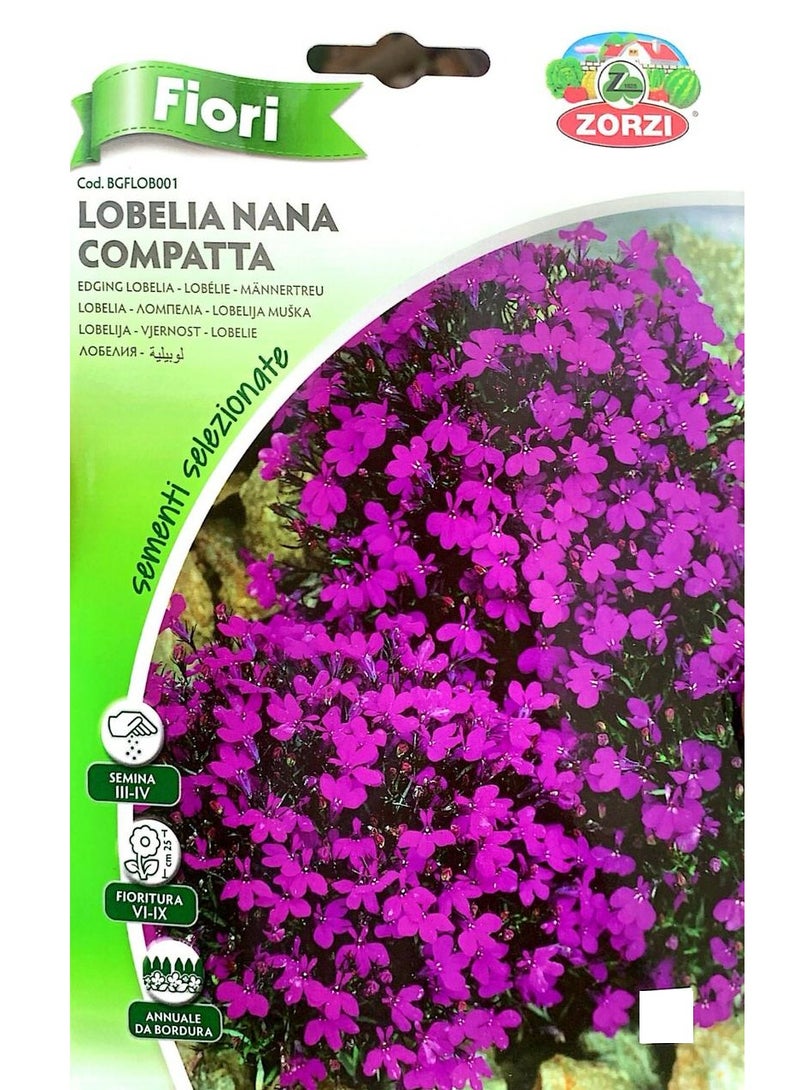 ZORZI Lobelia  Seeds