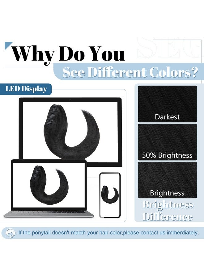 سيجو وصلات شعر ذيل الحصان بمشبك مخلب من SEGO، وصلات شعر ذيل الحصان من شعر بشري حقيقي، وصلات شعر ذيل الحصان طويلة ومستقيمة للنساء، 14 بوصة، أسود غامق، 105 جرام - Image 5