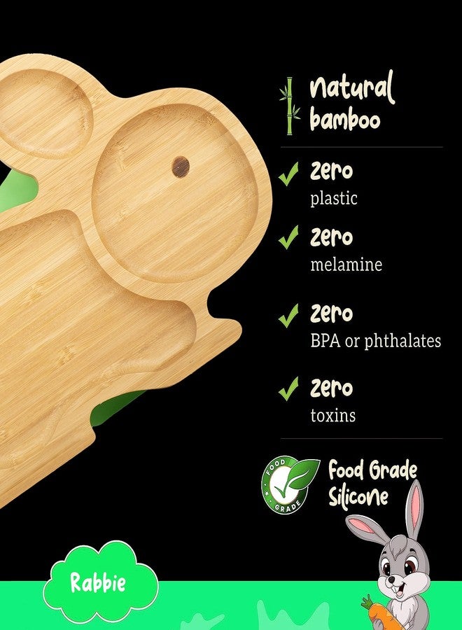 StarKiddo ® ‘Cute Bamboo Rabbie Suction Plate’ Baby-Led Weaning | 3 Sections | Non-Toxic |Eco-Friendly | Super Strong Suction Cup - Natural Bamboo BPA Free Baby Plate (Green) - Image 3