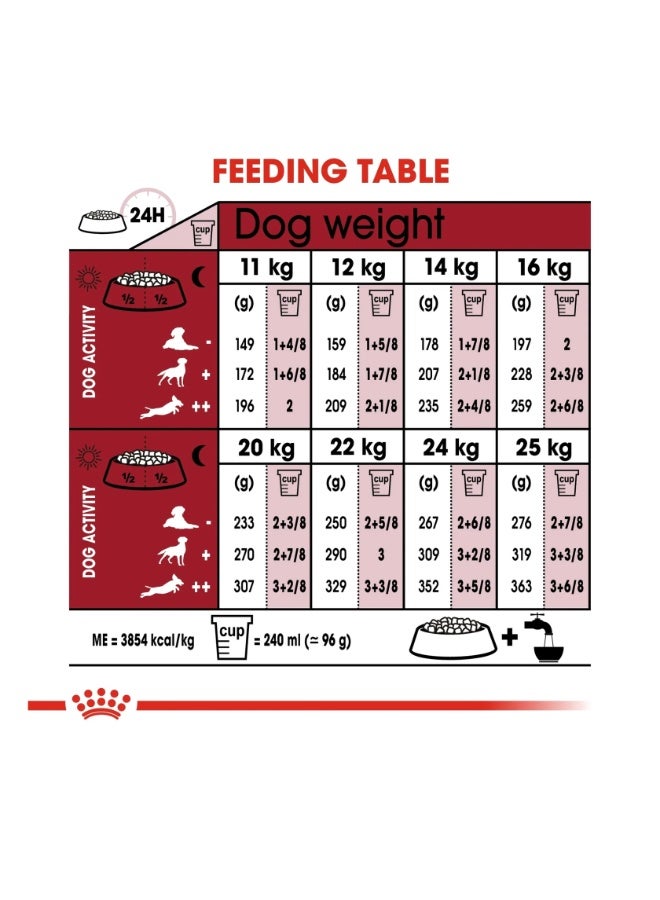 رويال كانين طعام الكلاب الجاف رويال كانين سايز هيلث متوسط ​​للبالغين 7 سنوات فأكثر - 4 كجم - Image 3