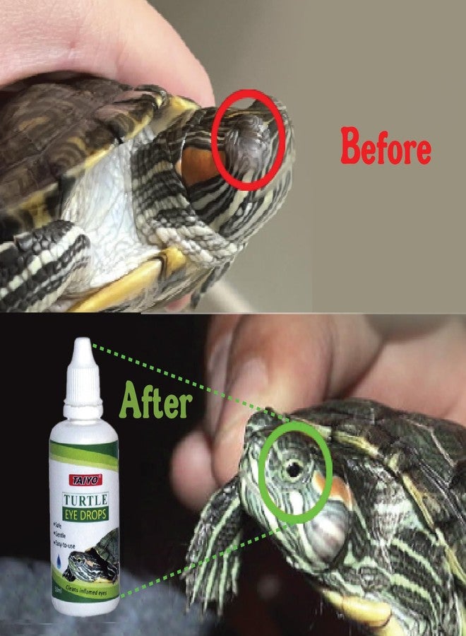 Taiyo Turtle Eye Drops 50ml | Supports Eye Comfort & Clarity in Turtles | Gentle Eye Hydration for Healthy Vision | Ideal for Aquarium Turtle Eye Care - Image 3