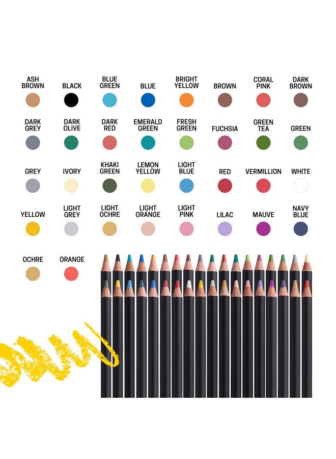 بوسكا علبة ألوان زيتية من بوسكا، متعددة الألوان، 36 وحدة (عبوة من قطعة واحدة) - Image 3