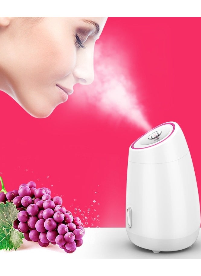 Ru syanl Household Face Steamer for Women Spa Beauty Moisturizing Facial Hot Mist Sprayer Fruit and vegetable Steamer for Skin Care  - Image 1