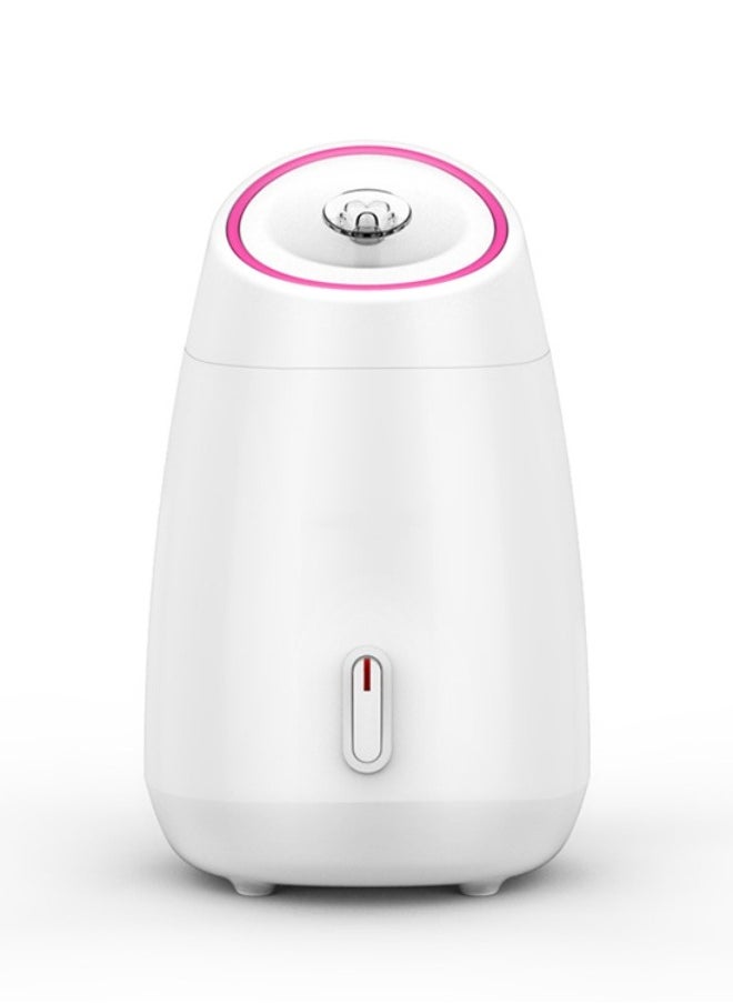 Ru syanl Household Face Steamer for Women Spa Beauty Moisturizing Facial Hot Mist Sprayer Fruit and vegetable Steamer for Skin Care  - Image 2