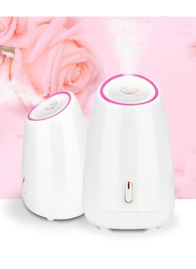 Ru syanl Household Face Steamer for Women Spa Beauty Moisturizing Facial Hot Mist Sprayer Fruit and vegetable Steamer for Skin Care  - Image 5