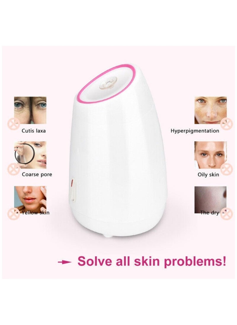 Ru syanl Household Face Steamer for Women Spa Beauty Moisturizing Facial Hot Mist Sprayer Fruit and vegetable Steamer for Skin Care  - Image 3