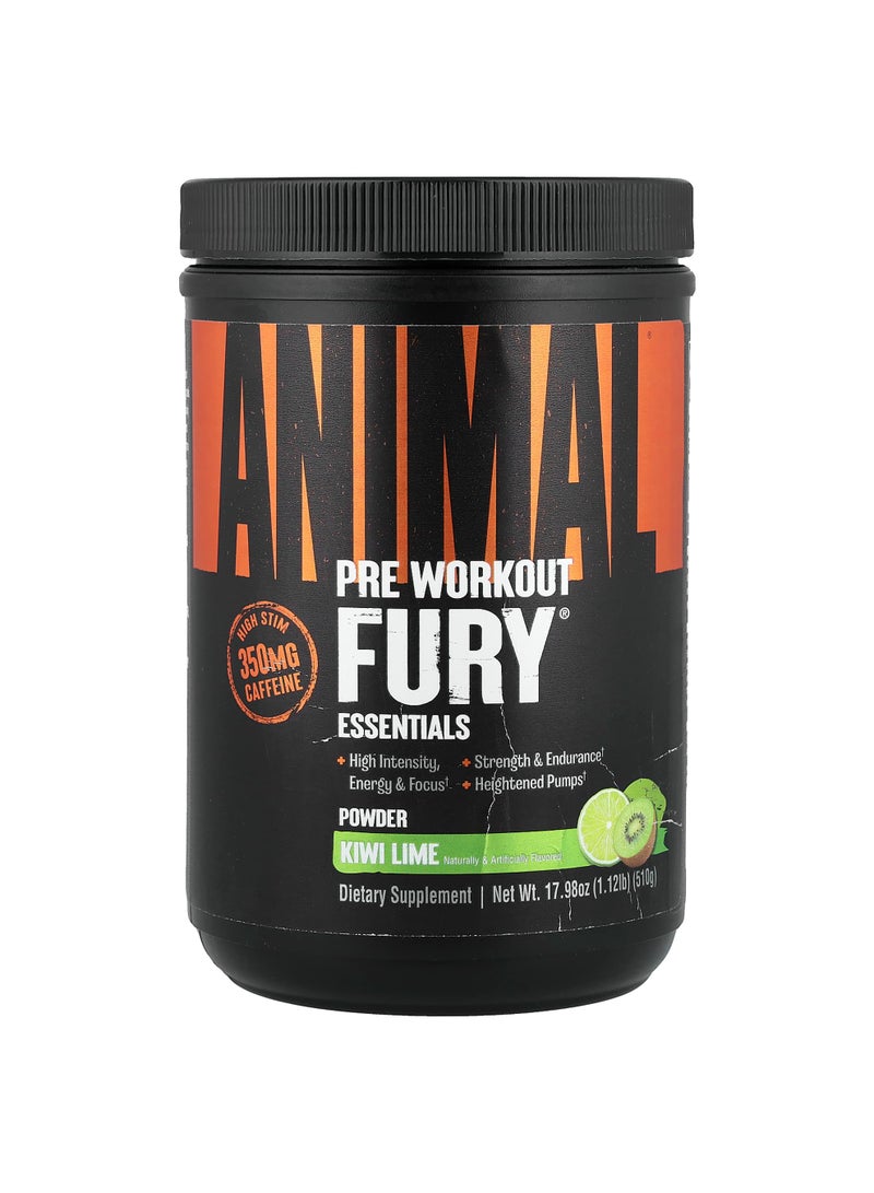 Fury® Essentials, Pre Workout,  Kiwi Lime, 17.98 oz (510 g)