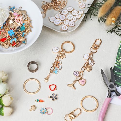 Starry 223Pcs Keychain Making Kit Bag Charm Kit 86 Charms 10 Keychain Clips with Key Ring Jewelry Plier,15 Extender Chain Swivel Snap Hooks Gold Charms 100 Jump Ring DIY Craft Supplies - Image 4