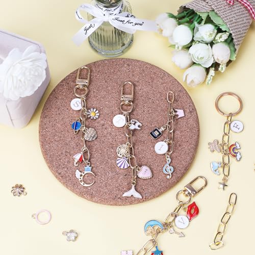 Starry 223Pcs Keychain Making Kit Bag Charm Kit 86 Charms 10 Keychain Clips with Key Ring Jewelry Plier,15 Extender Chain Swivel Snap Hooks Gold Charms 100 Jump Ring DIY Craft Supplies - Image 5