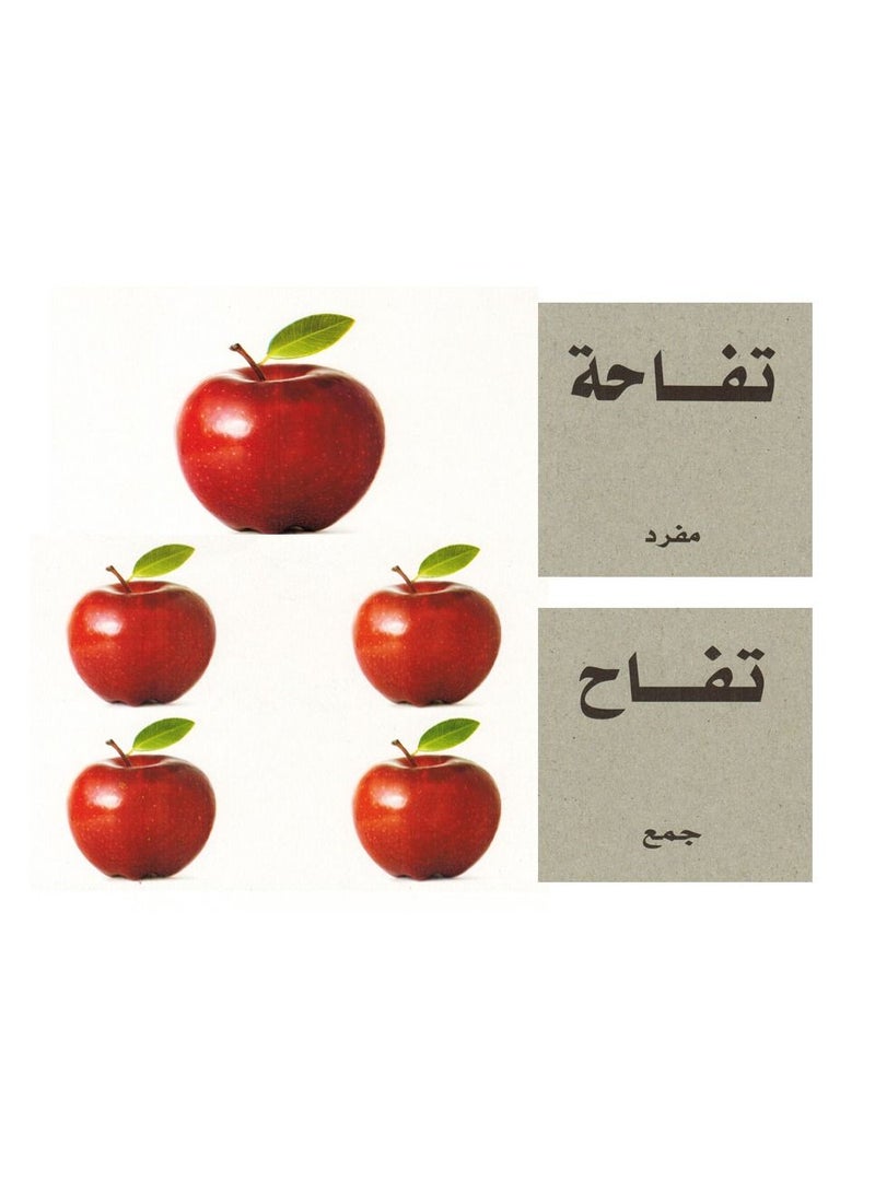 فلاش الكروت التعليمية المفرد والجمع - Image 1