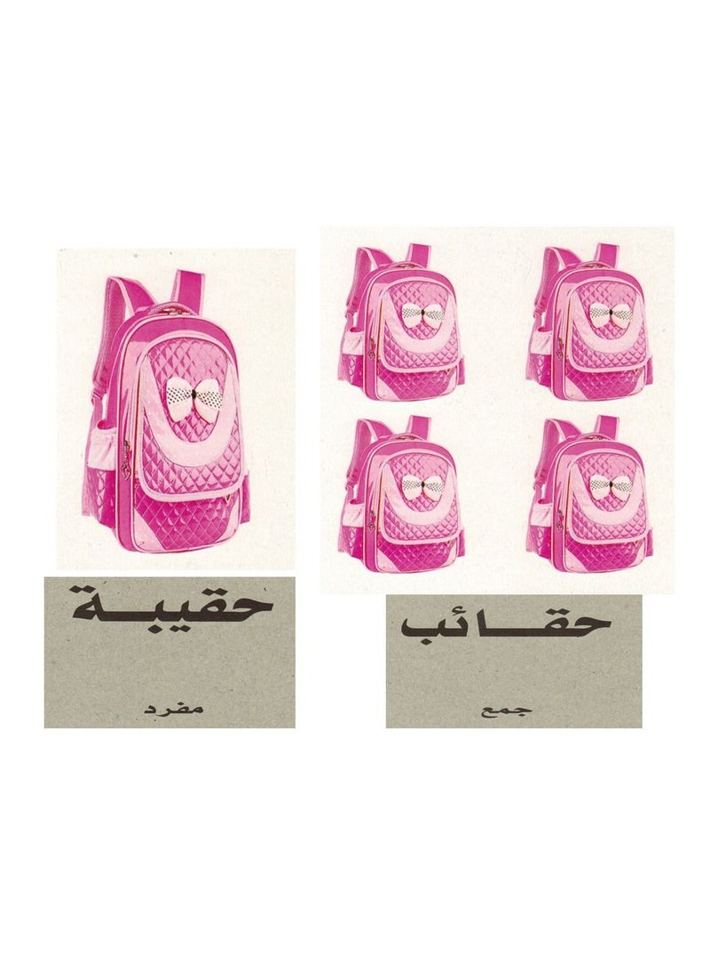 فلاش الكروت التعليمية المفرد والجمع - Image 2