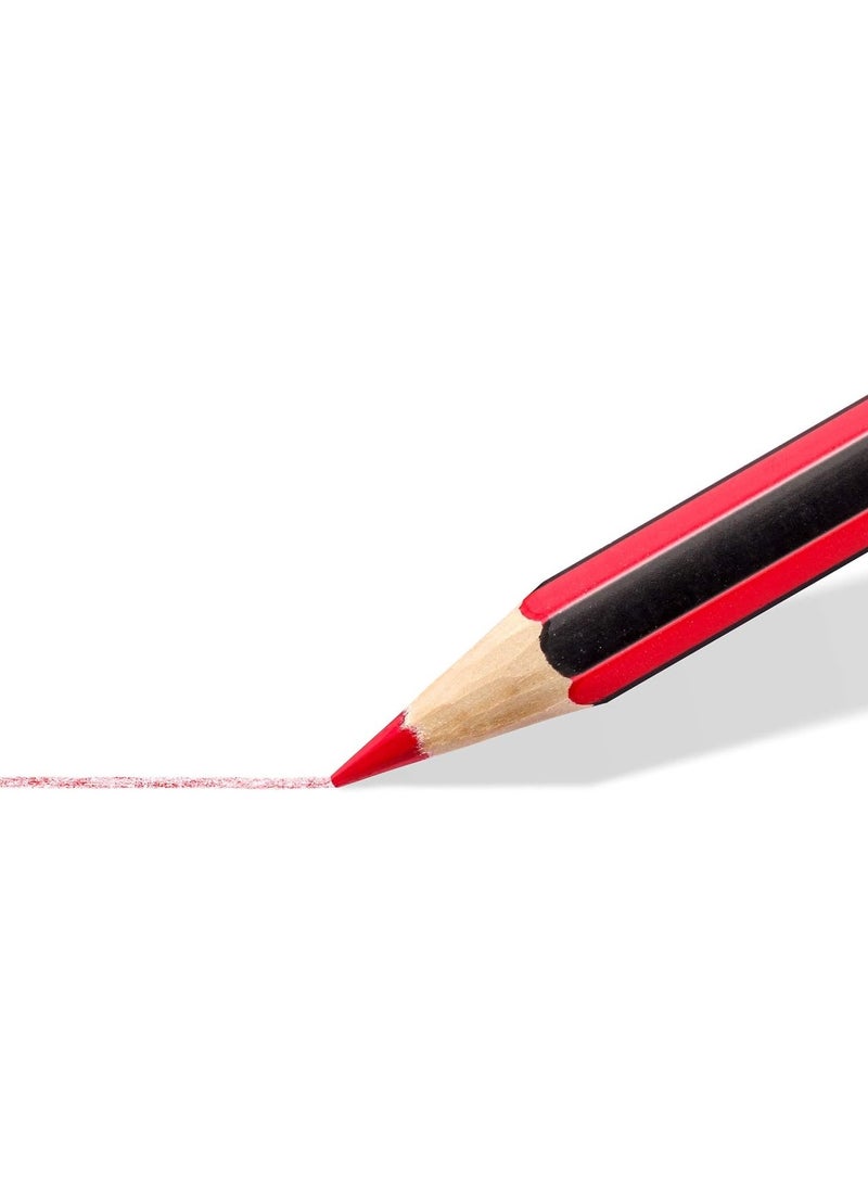 STAEDTLER 12-Piece Noris Colouring Pencils In Metal Cylinder Box Multicolour - Image 5