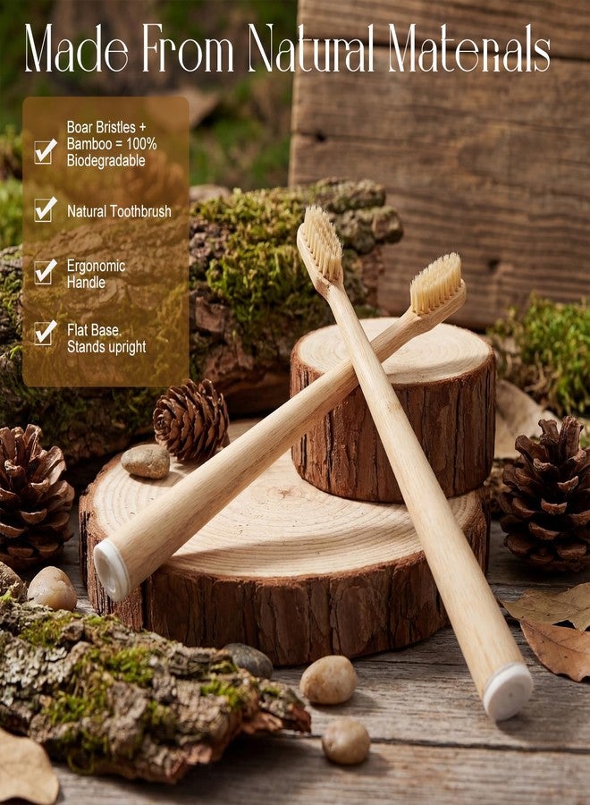 Ferrochef 4 Pack Boar Bristle & Bamboo Toothbrush Made from Natural Boar Hair Bristles and Bamboo Handle, Plastic & Nylon Free Biodegradable Quick Dry Design - Image 3