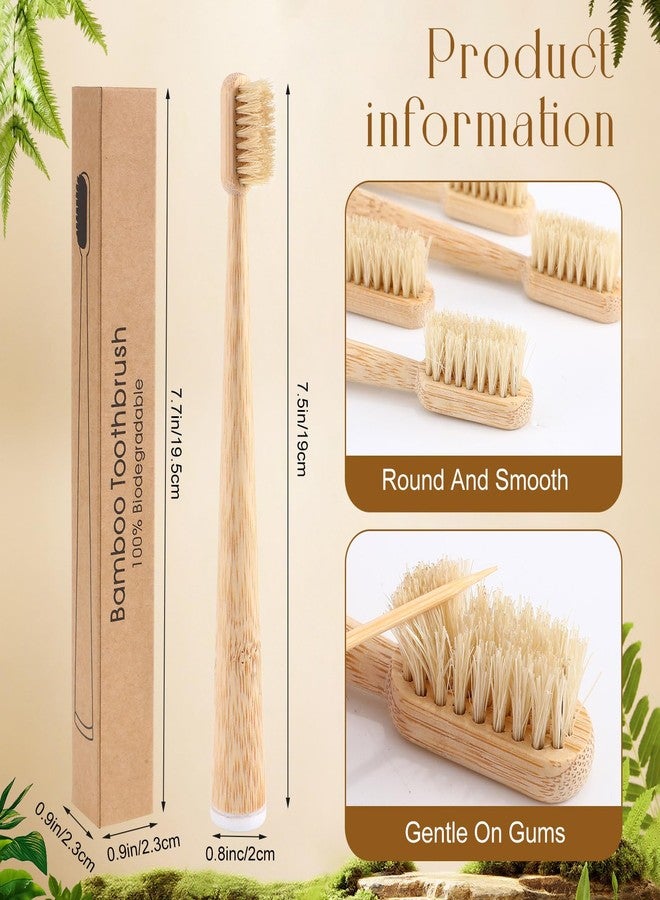 Ferrochef 4 Pack Boar Bristle & Bamboo Toothbrush Made from Natural Boar Hair Bristles and Bamboo Handle, Plastic & Nylon Free Biodegradable Quick Dry Design - Image 2